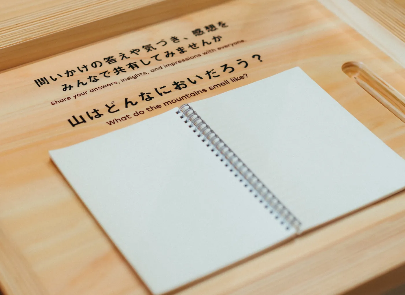 「やまには、展」の展示風景（4）