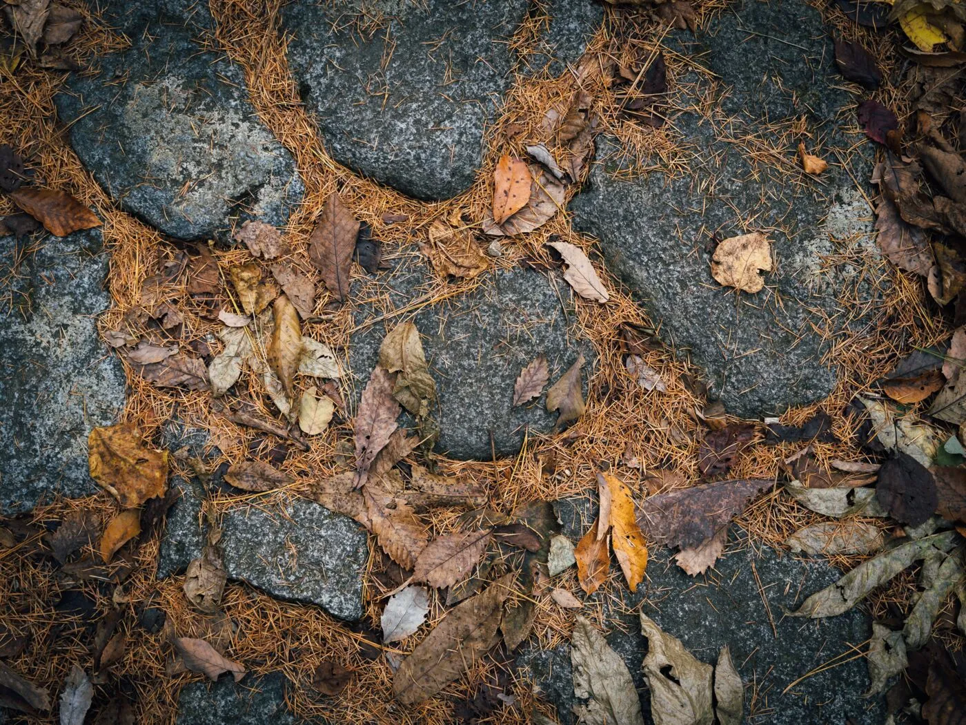 石畳に積もった落ち葉